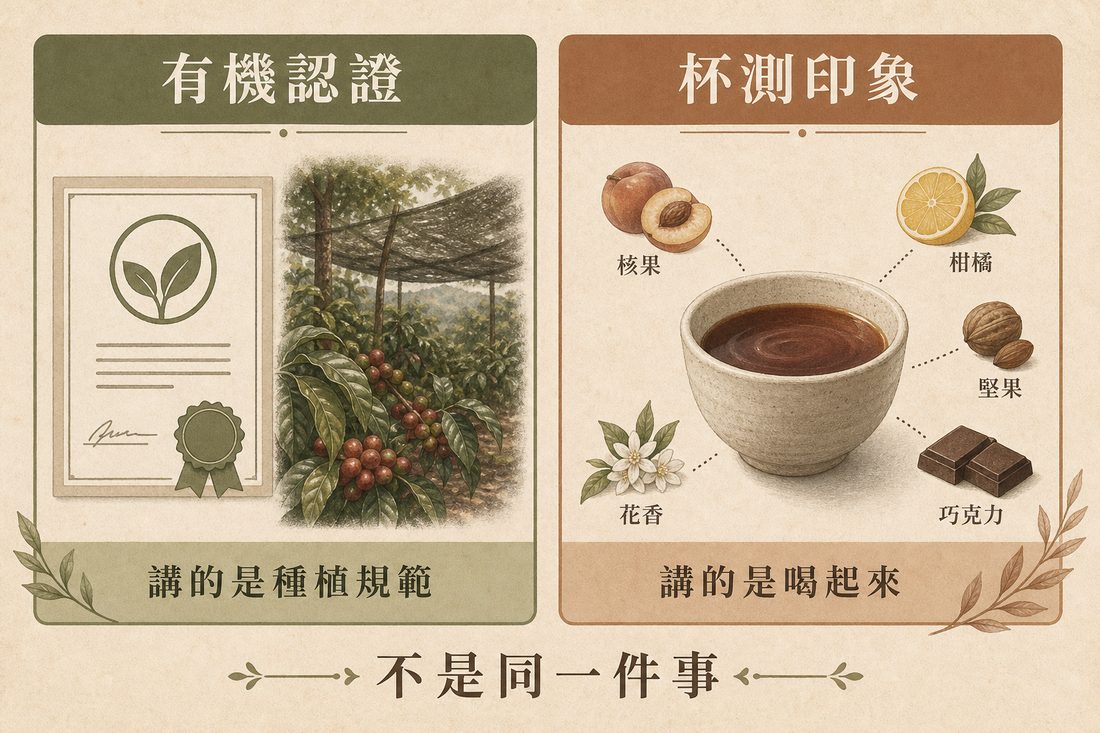 有機認證與杯測的差異：前者規範生產方式，後者評估風味與口感